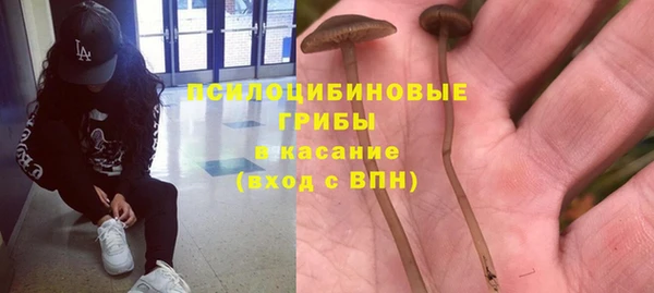 спиды Заволжск